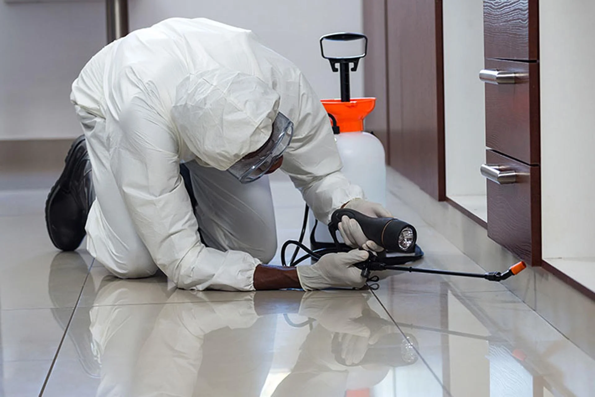 Pest Control Cost NYC: Complete 2026 Price Guide for Every Service
